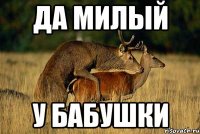 да милый у бабушки
