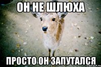 он не шлюха просто он запутался