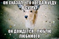он сказал, что когда я уеду в сугрут он дождется... люблю любимого