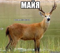 Майя 