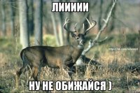 Лиииии Ну не обижайся )