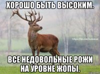 Хорошо быть высоким. Все недовольные рожи на уровне жопы.