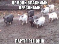 Це вони власними персонами Партія Регіонів