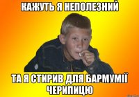 Кажуть я неполезний та я стирив для бармумії черипицю