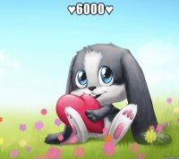 ♥6000♥ 
