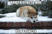 Анюта, ответь мне пожалуйста