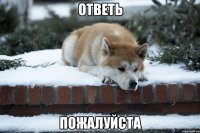 ответь пожалуйста