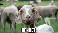  Привет!
