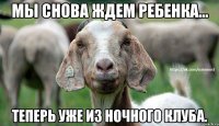 Мы снова ждем ребенка… теперь уже из ночного клуба.