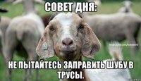 Совет дня: Не пытайтесь заправить шубу в трусы.