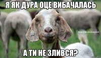 я як дура оце вибачалась а ти не злився?