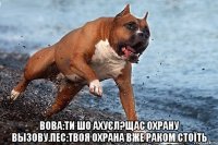  Вова:ти шо ахуєл?Щас охрану вызову.Пес:твоя охрана вже раком стоїть