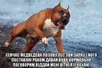  Сейчас Медведева позову.Пес:зви,зараз і його поставлю раком.давай вова нормально поговорим,віддай мені вітю,я її кохаю
