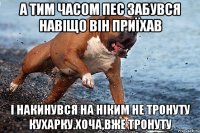 А тим часом пес забувся навіщо він приїхав І накинувся на ніким не тронуту кухарку.Хоча,вже тронуту