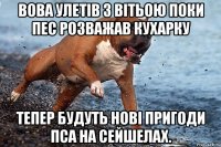 Вова улетів з Вітьою поки пес розважав кухарку Тепер будуть нові пригоди пса на Сейшелах.