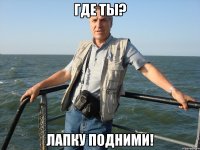 Где ты? Лапку подними!