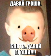ДАВАЙ ГРОШИ, БЛЯТЬ, ДАВАЙ ГРОШИ!!!!