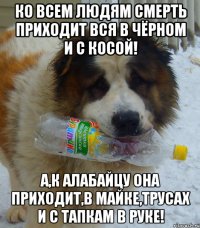 Ко всем людям смерть приходит вся в чёрном и с косой! А,к алабайцу она приходит,в майке,трусах и с тапкам в руке!