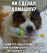 Ни сделал домашку? Скажи,что забыл дома тетрадь или обвяжи вокруг шеи шарф и претворить,что болеешь!