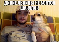 ДИКИЕ ЛЬВИЦЫ НЕ БОЯТСЯ ШАКАЛОК 