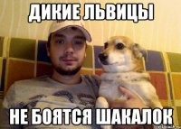 ДИКИЕ ЛЬВИЦЫ НЕ БОЯТСЯ ШАКАЛОК