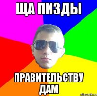 Ща пизды правительству дам