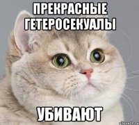 прекрасные гетеросекуалы убивают