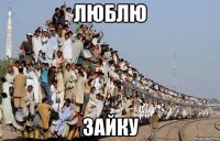 люблю зайку