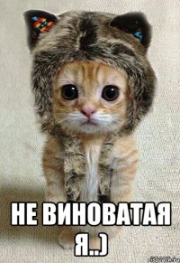  не виноватая я..)