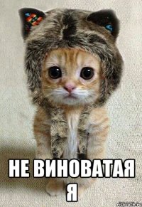  не виноватая я
