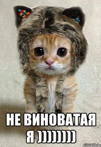  не виноватая я ))))))))