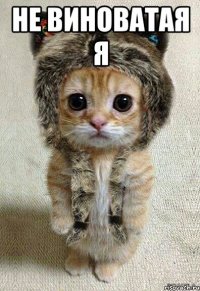 не виноватая я 