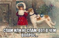  спам или не спам, вот в чём вопрос...