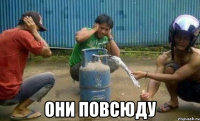  они повсюду