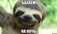 БАХНЕМ НА НОЧЬ