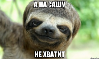 А НА САШУ НЕ ХВАТИТ