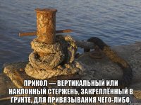  Прикол — вертикальный или наклонный стержень, закреплённый в грунте, для привязывания чего-либо.