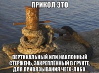 Прикол это вертикальный или наклонный стержень, закреплённый в грунте, для привязывания чего-либо.
