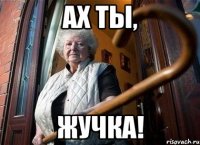 АХ ТЫ, ЖУЧКА!