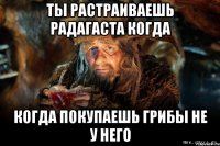 ты растраиваешь радагаста когда когда покупаешь грибы не у него
