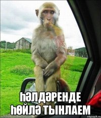  һәлдәренде һөйлә тынлаем