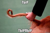 тыр тырпыр
