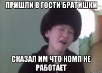 пришли в гости братишки сказал им что комп не работает