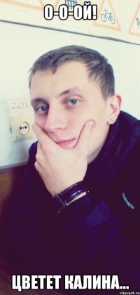 О-о-ой! Цветет калина...