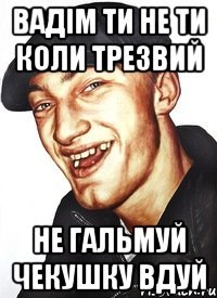 вадім ти не ти коли трезвий не гальмуй чекушку вдуй