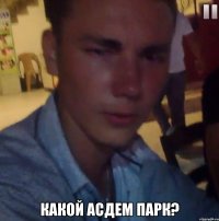  Какой асдем парк?