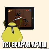 (с) Ерарун Араш