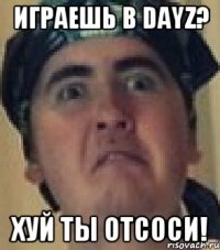 Играешь в DayZ? Хуй ты отсоси!