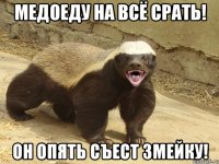 медоеду на всё срать! Он опять съест змейку!