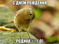С Днем Рождения Родика <@(:D)